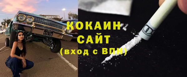 твердый Арсеньев