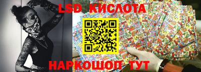 гашик Кингисепп