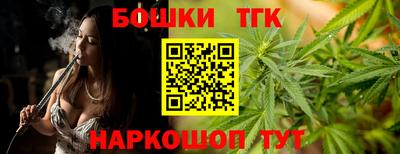 гашик Кингисепп