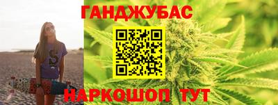 гашик Кингисепп
