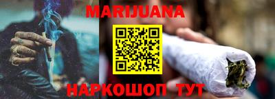 гашик Кингисепп