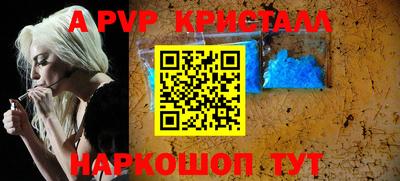 гашик Кингисепп