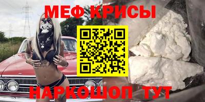 гашик Кингисепп