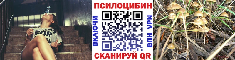 Псилоцибиновые грибы мицелий  kraken зеркало  Петропавловск-Камчатский 