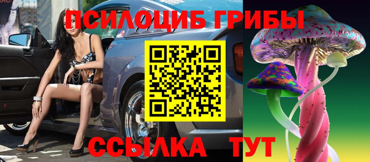 Петропавловск-Камчатский  Псилоцибиновые грибы ЛСД  Псилоцибиновые грибы Cubensis  Вход с VPN 