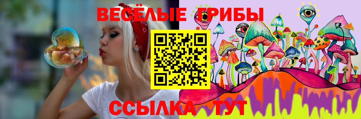 Галлюциногенные грибы мицелий Петропавловск-Камчатский